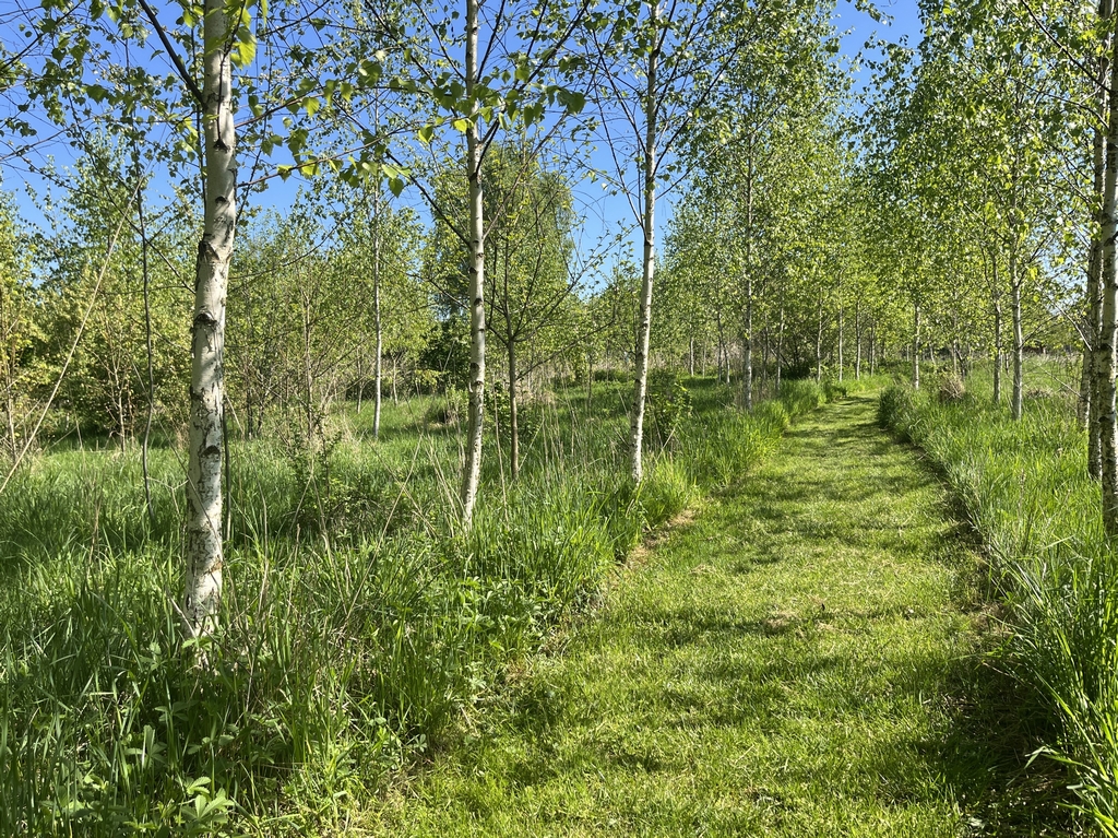 Voedselbos Vessem