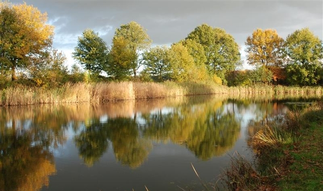 Driehuizen, Vessem